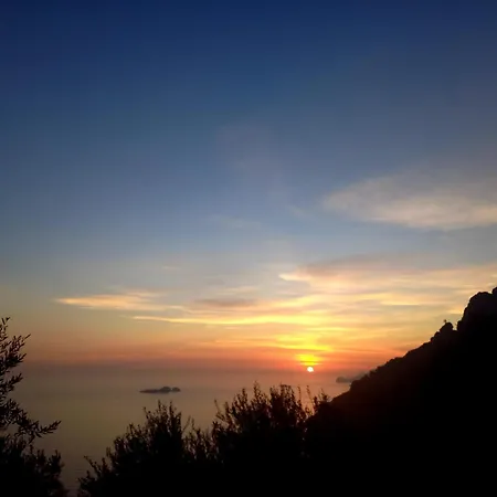 L'uliveto Отель типа 