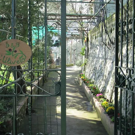 L'uliveto Отель типа 