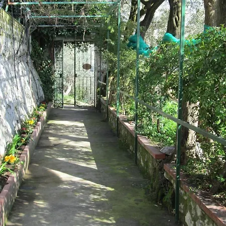 L'uliveto Отель типа 