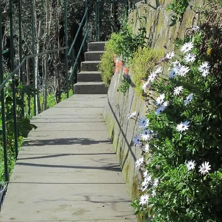 L'uliveto 4*