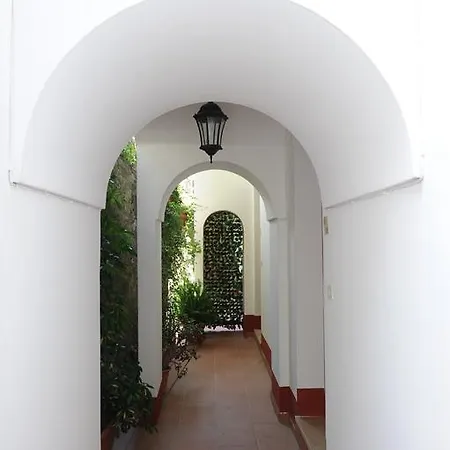 Bed & Breakfast L'uliveto Positano
