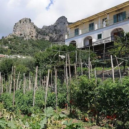 L'uliveto Bed and breakfast 4*